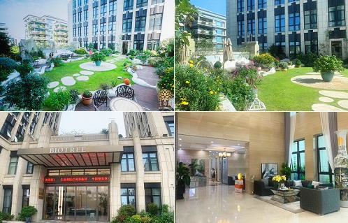 上海生命树医院环境