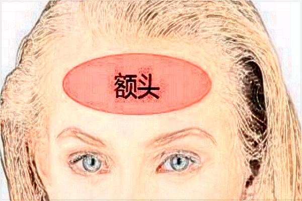 自体脂肪丰额头价格表_自体脂肪丰额头可以维持多久