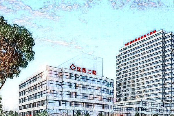 2024沈阳二院整形科价目表_沈阳医大二院整形科哪个大夫好