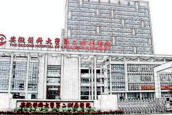 2024安医附二院隆鼻多少钱?隆鼻子哪种材料好