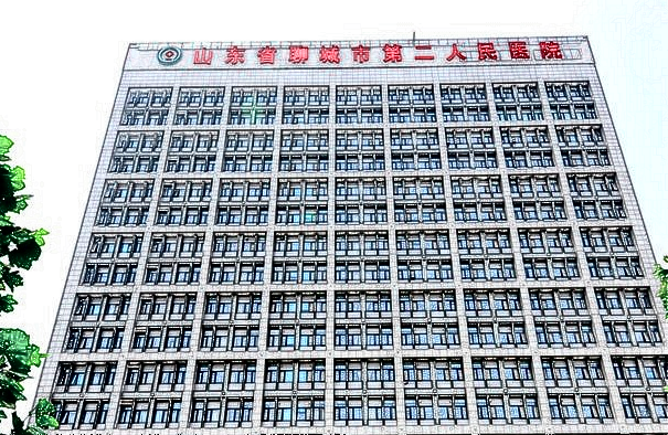 聊城二院怎么样?2024整形医生收费价格