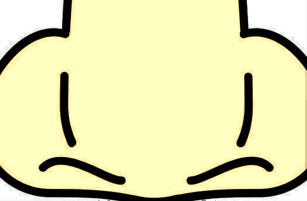 膨体隆鼻会不会越来越低?膨体隆鼻会吸收变低吗?