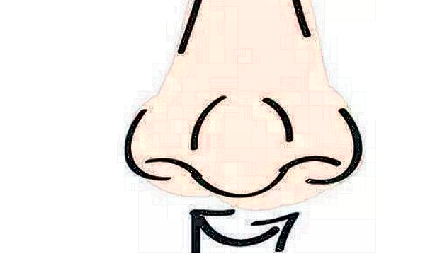 膨体隆鼻会不会越来越低?膨体隆鼻会吸收变低吗?