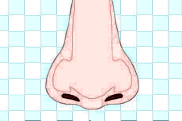 成都百龄做肋骨鼻怎么样?肋骨鼻手术费用价格2024