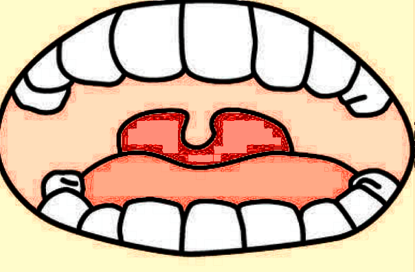 嘉兴二院种植牙哪个医生好?2024医生收费价格