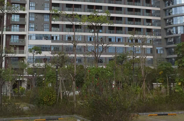 中山大学附属第一医院口腔科主任好吗?2024如何收费