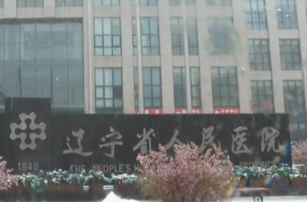 辽宁省人民医院根管费用多少?整形日记全过程