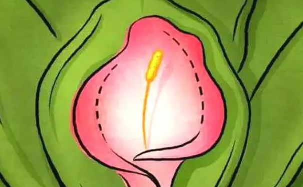 苏州薇琳美容医院缩阴手术价目一览表?技术评价&三个月案例恢复过程