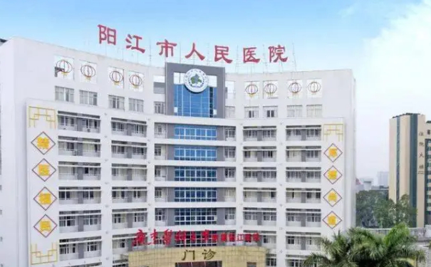 阳江市人民医院陈燕三点双眼皮术后90天案例|技术亮点怎么样?医生资料