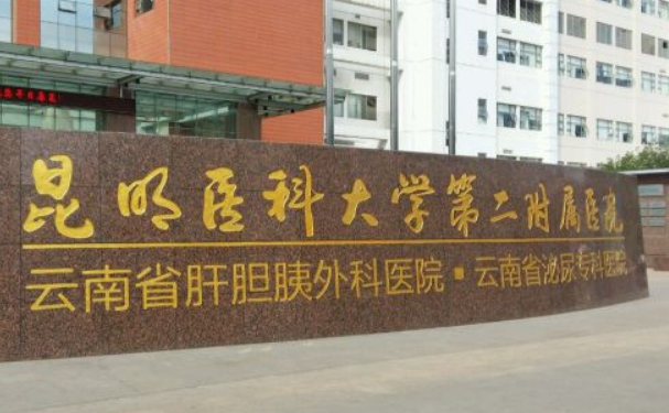 昆明医科大学第二附属医院何永静脂肪隆胸怎么样?价格查询?案例评价&技术评价