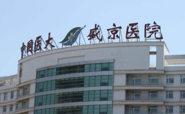 中国医科大学附属盛京医院王宇令两腮凹陷填充收费标准?技术风格&案例变化